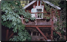 Northern California Guest Ranch
