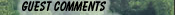 Guest Comments