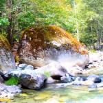 Coffee_Creek_California