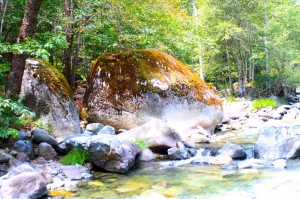 Coffee_Creek_California