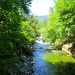 Coffee_Creek_Horse_Ranch_California