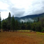Coffee_Creek_Ranch_Fields
