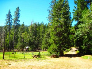 Coffee_Creek_Ranch_Horse_Ranch_California