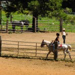 Girl_Wrangler_California_Ranch