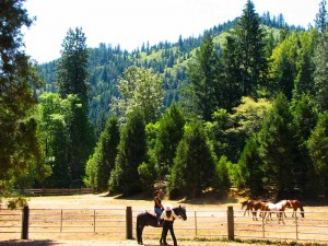 Girl_Wrangler_Horse_Training