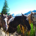 Horse_Ranch_California_Trinity_Alps
