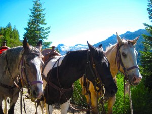 Horse_Ranch_California_Trinity_Alps