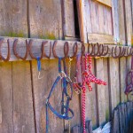Horse_Tack_Guest_Ranch