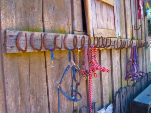 Horse_Tack_Guest_Ranch