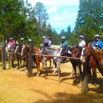 Horsepack_Ranch_Trips