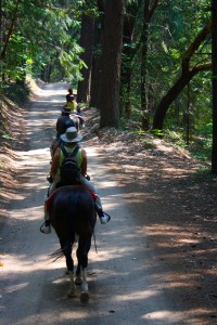 Mine_Trail_Coffee_CreeK_California