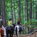 Mine_Trail_Trinity_Center