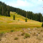 Union_Lake_Trail_Horses