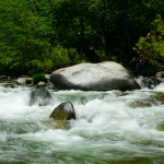 coffee_creek_river