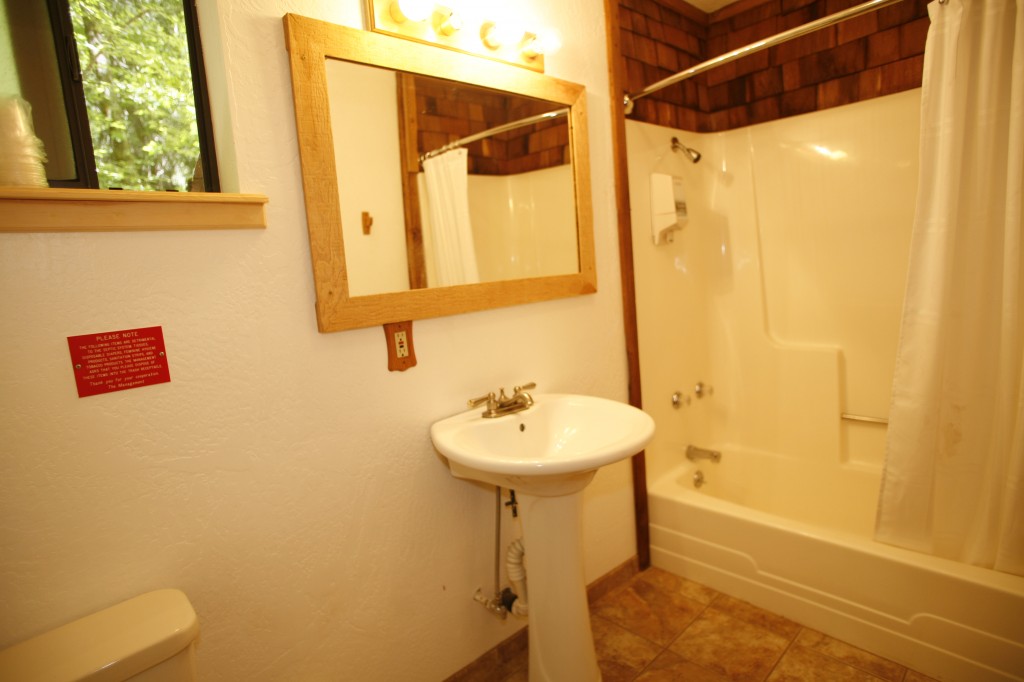 Branding Iron bathroom