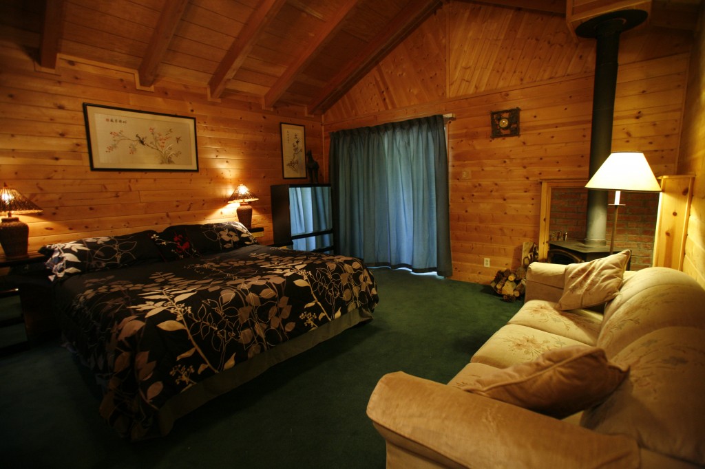 Crazy E King and Double pull-out couch bedroom
