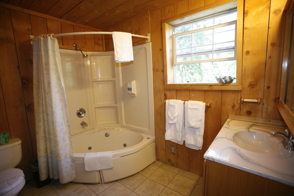 Crazy E King en-suite bathroom